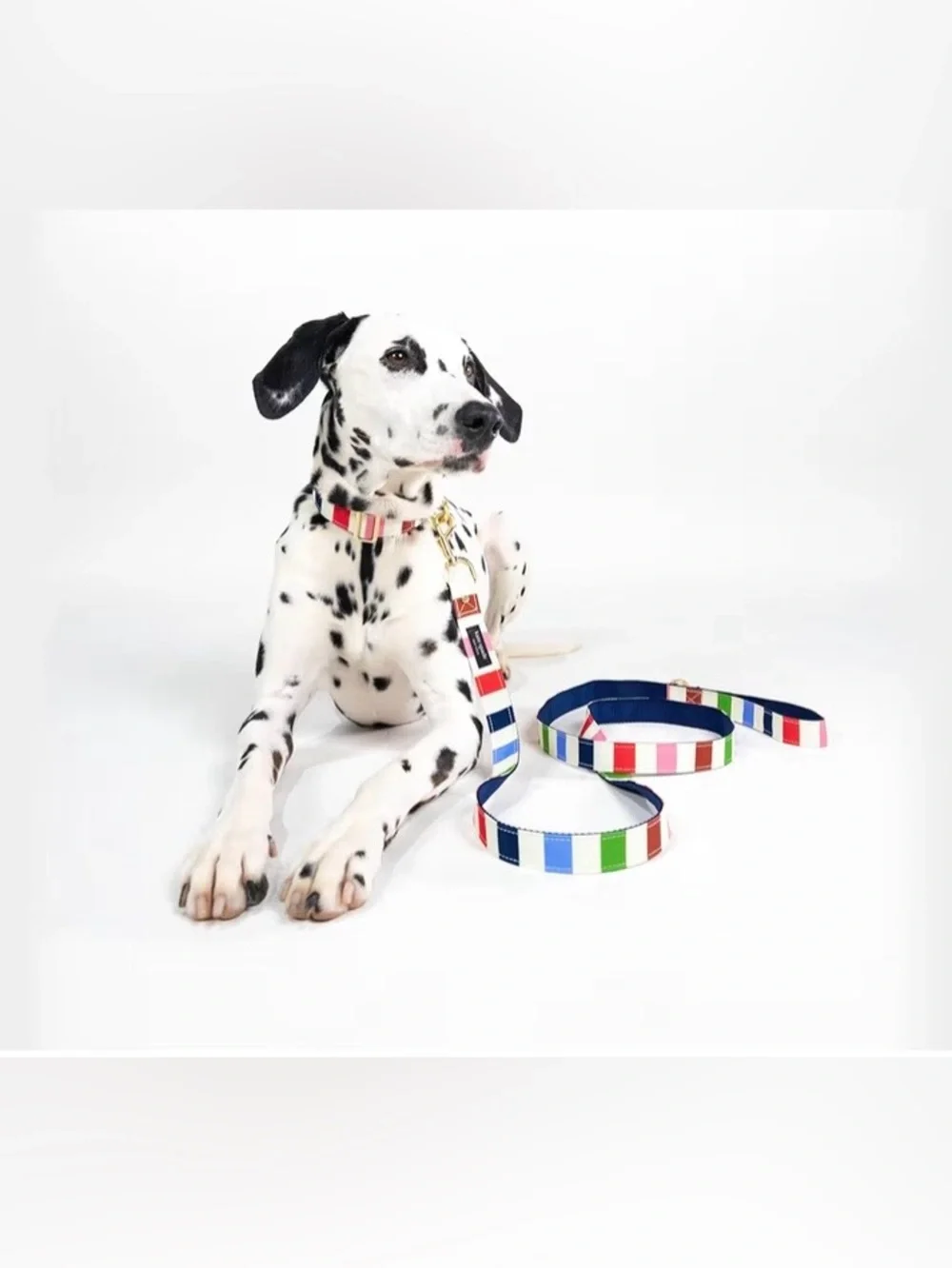 Kate Spade New York Heavy Duty Leash for Female or Male Dogs